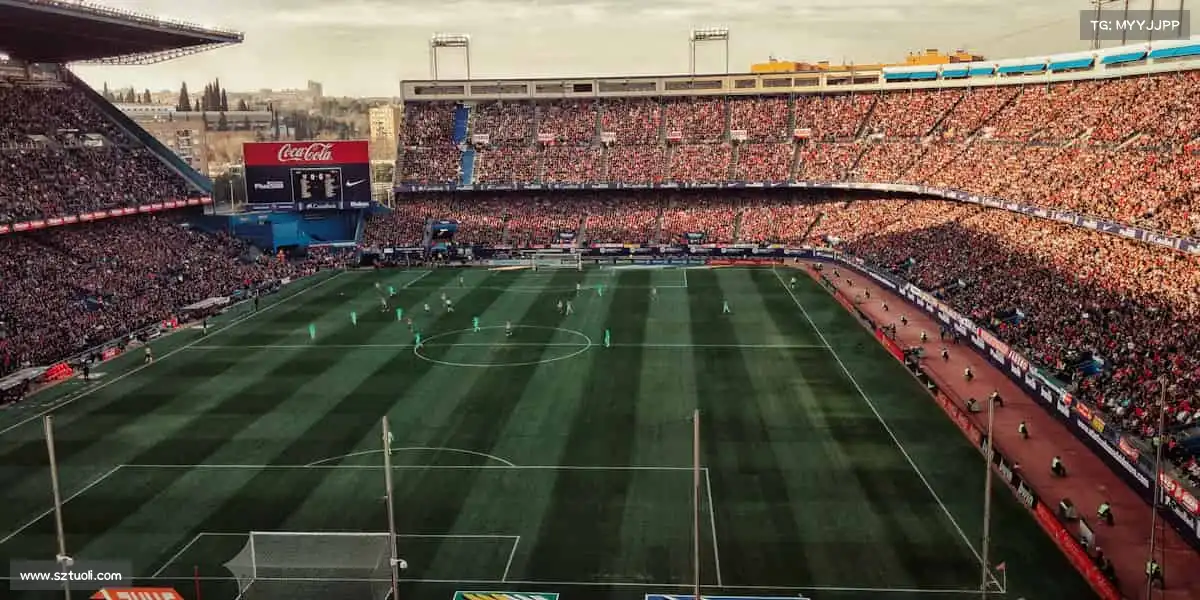 行业领先的理由